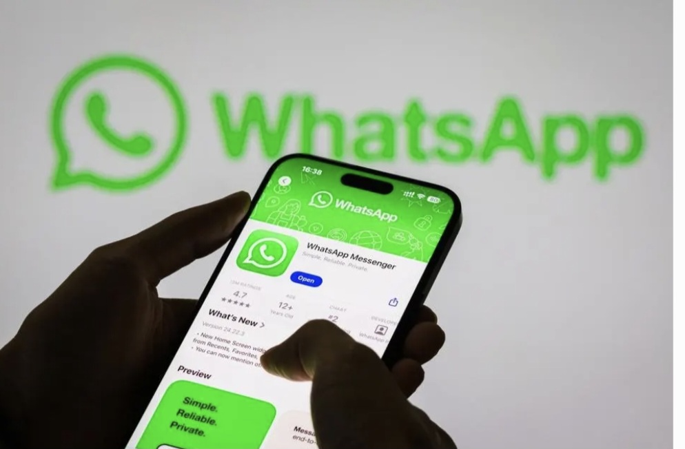 Language and logistics&nbsp;WhatsApp.
