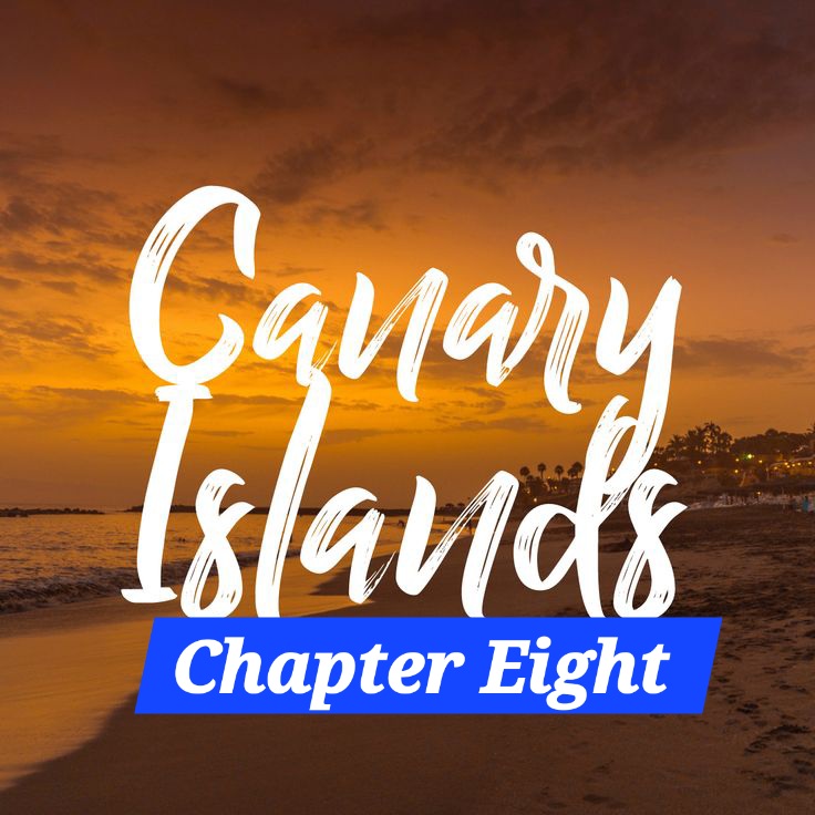 🌿Chapter Eight — The Drum That Found&nbsp;Me
