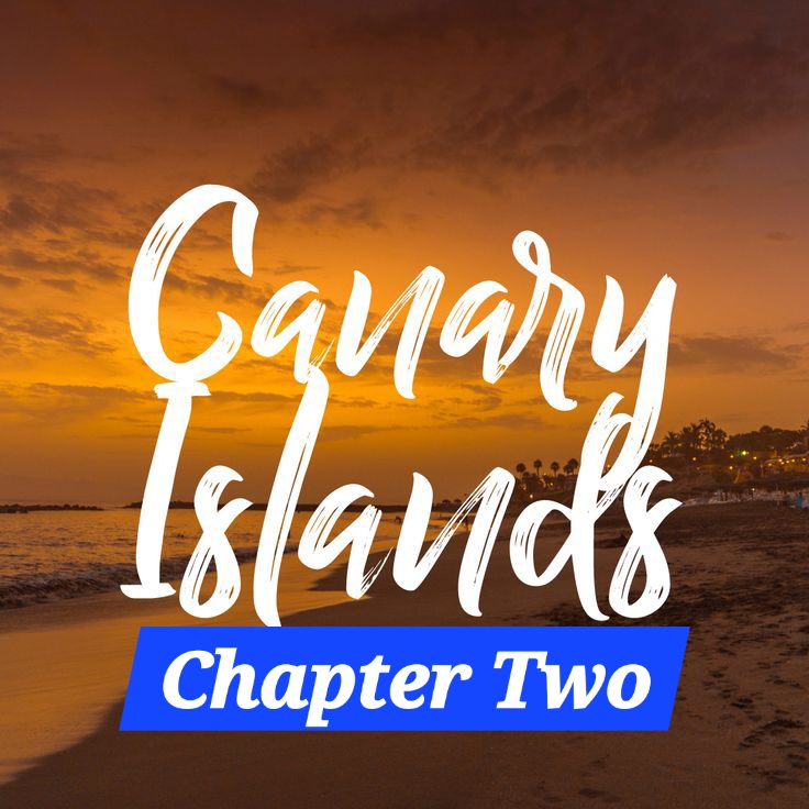 🌿 Chapter Two: Mundo Aborigen — Where the Old Ones Still&nbsp;Speak