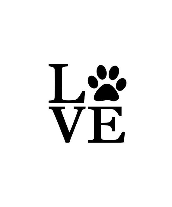 🐾 Daily Prompt —&nbsp;10.11.2025