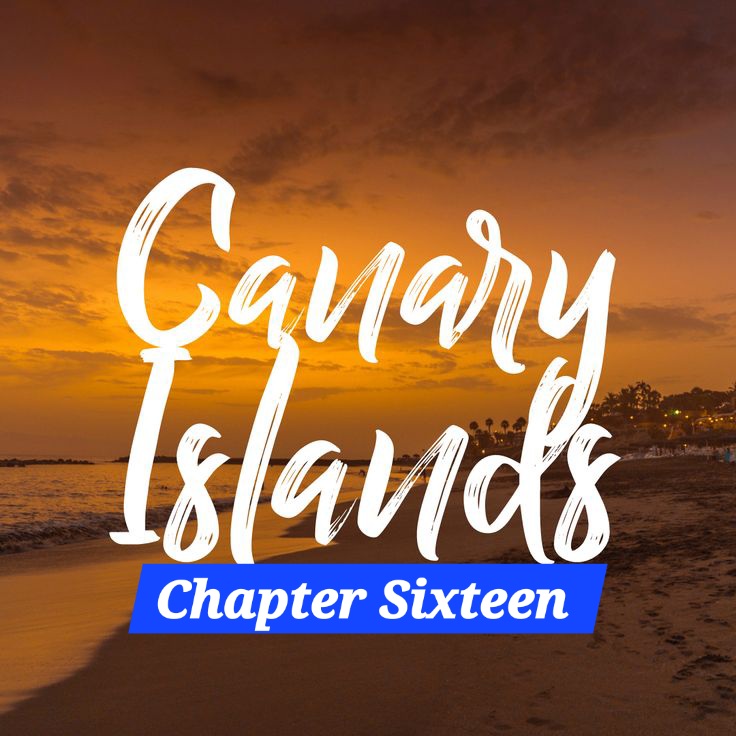 🌿CHAPTER SIXTEEN — The Animals Who Found&nbsp;Us