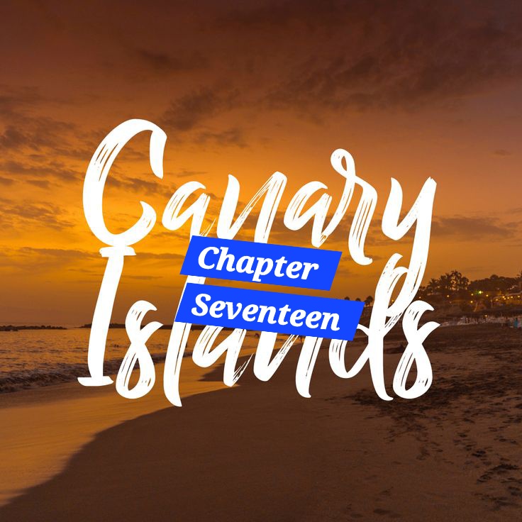 🌴CHAPTER SEVENTEEN — The Light Across the Distance: Liam During&nbsp;Lockdown