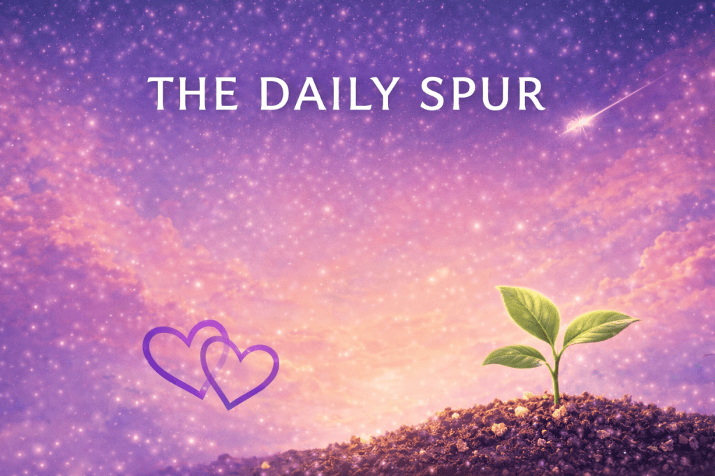 The Daily Spur