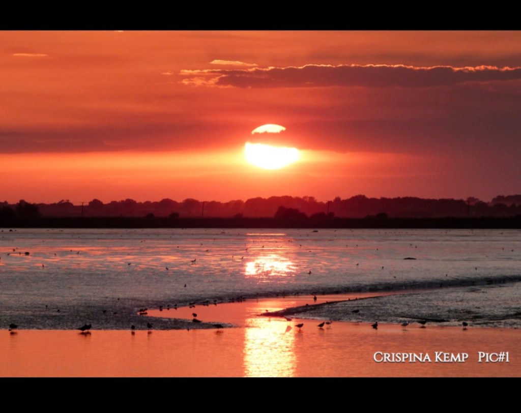 Where the Sun&nbsp;Pauses