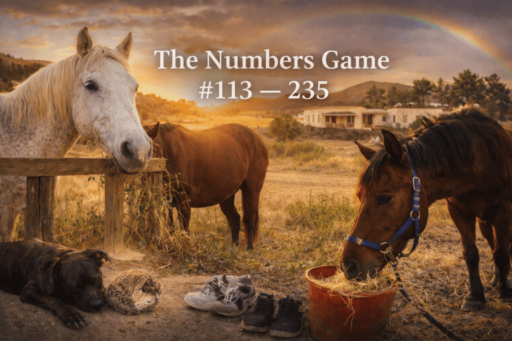 The Numbers Game #113 —&nbsp;235