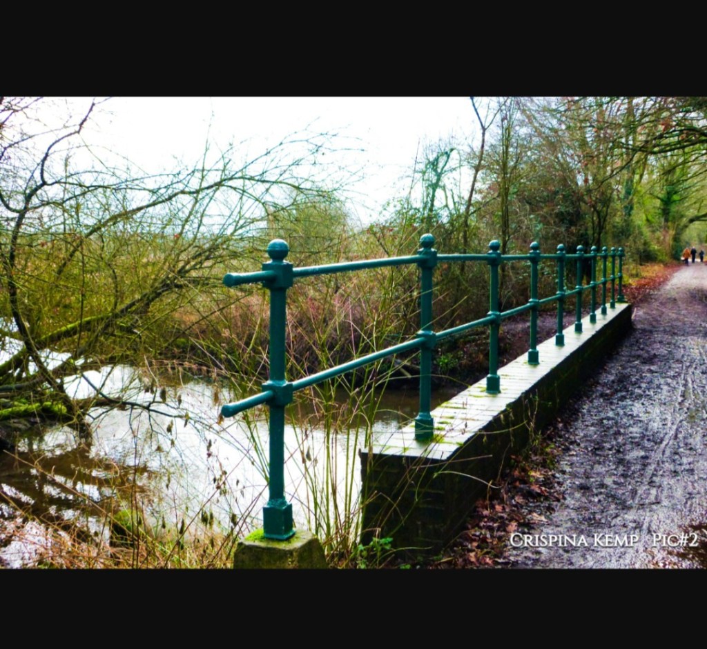 Between Water and&nbsp;Road