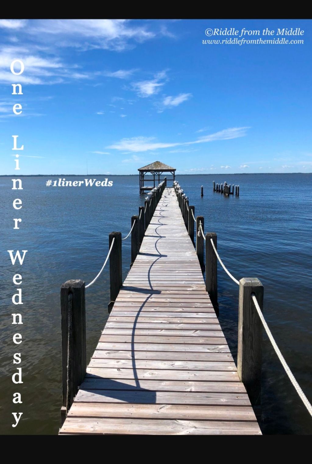 One-Liner Wednesday 18.03.2026