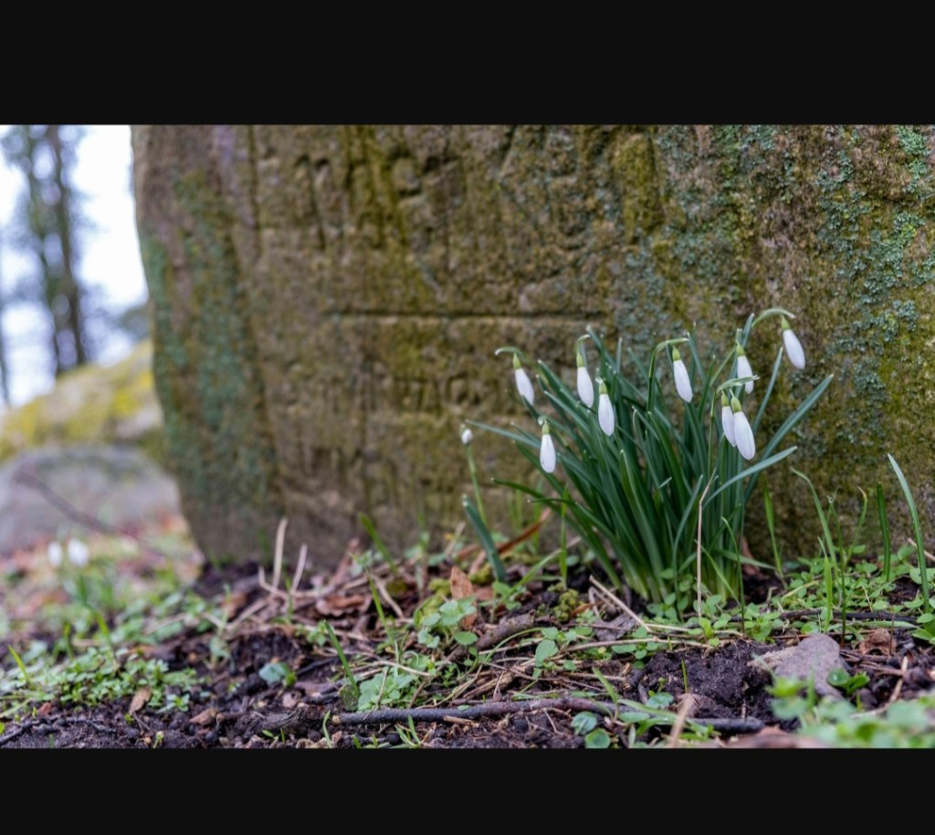 After the Long&nbsp;Winter