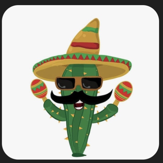 Feliz Cinco de Mayo&nbsp;🇲🇽✨