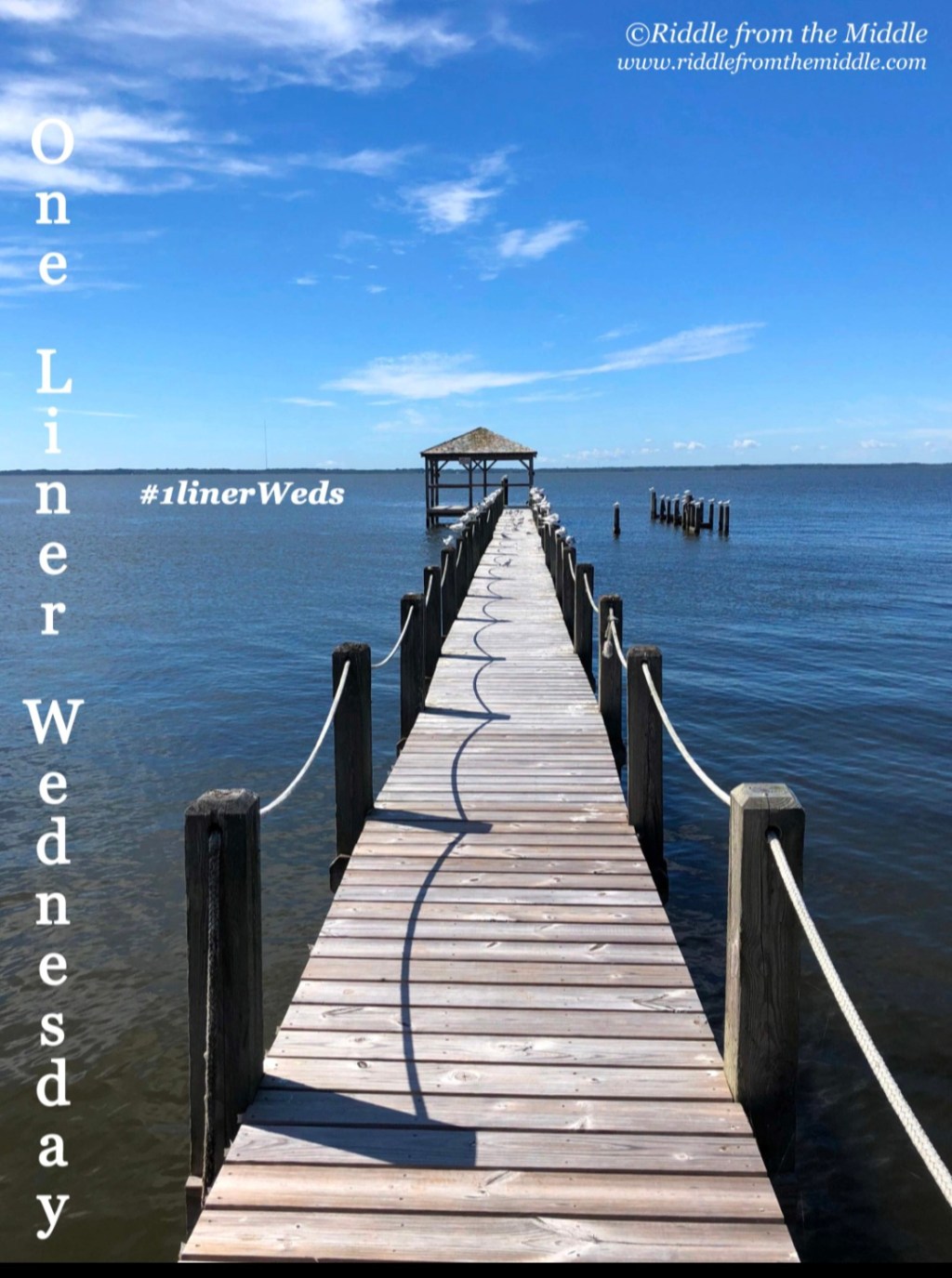 One Liner Wednesday