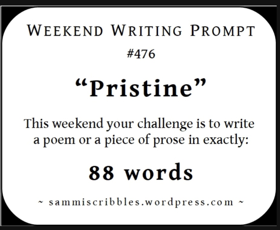 Weekend Writing Prompt #476 – “Pristine”
