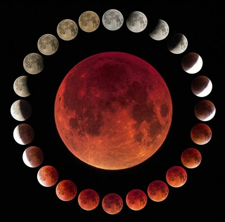 Ready for the Lunar Eclipse&nbsp;tomorrow?