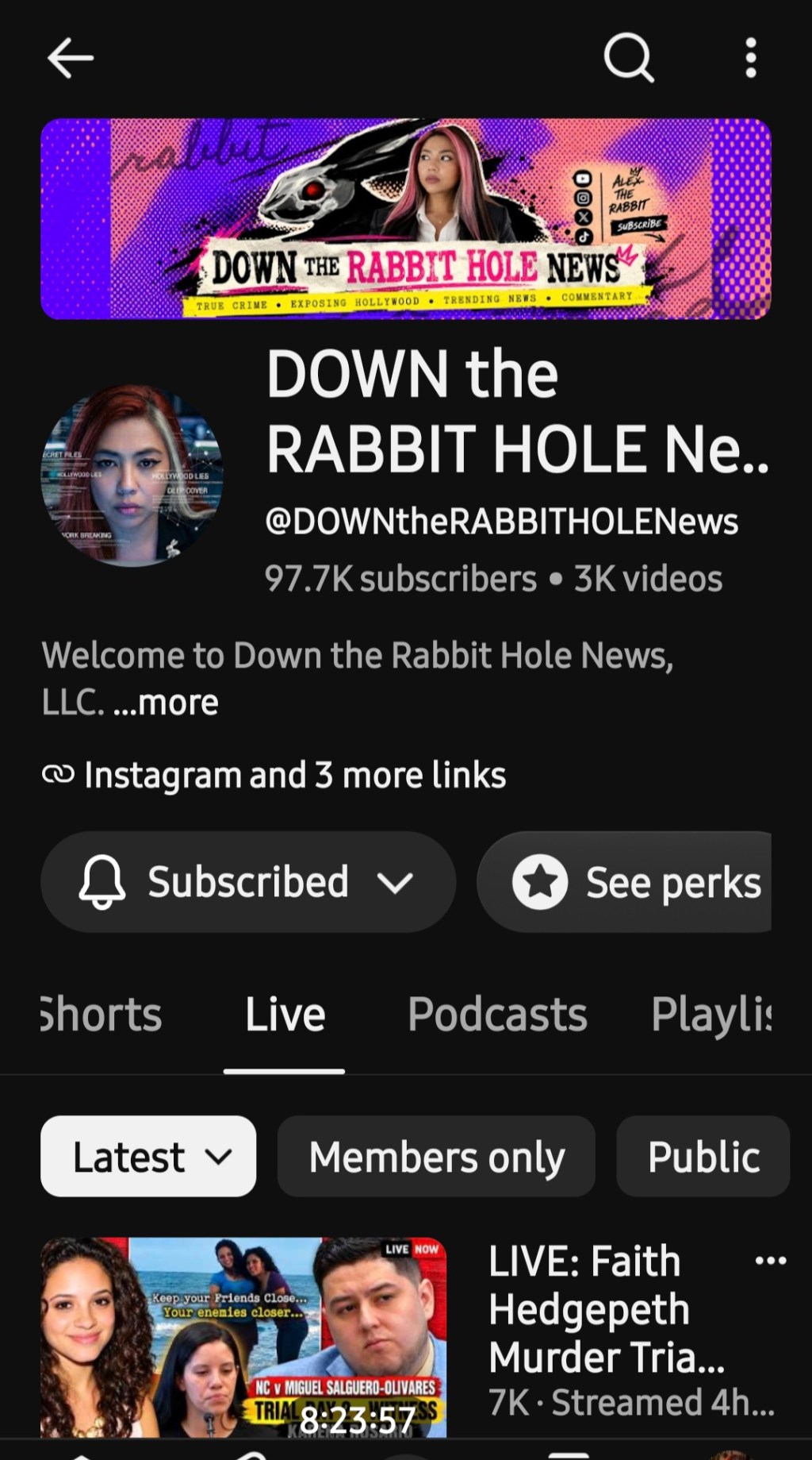Down the Rabbit Hole Again&nbsp;🐇⚖️