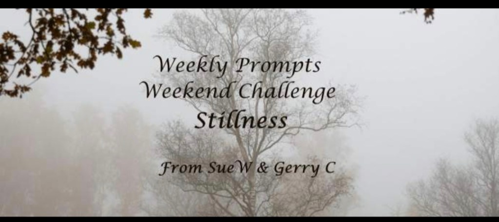 Stillness